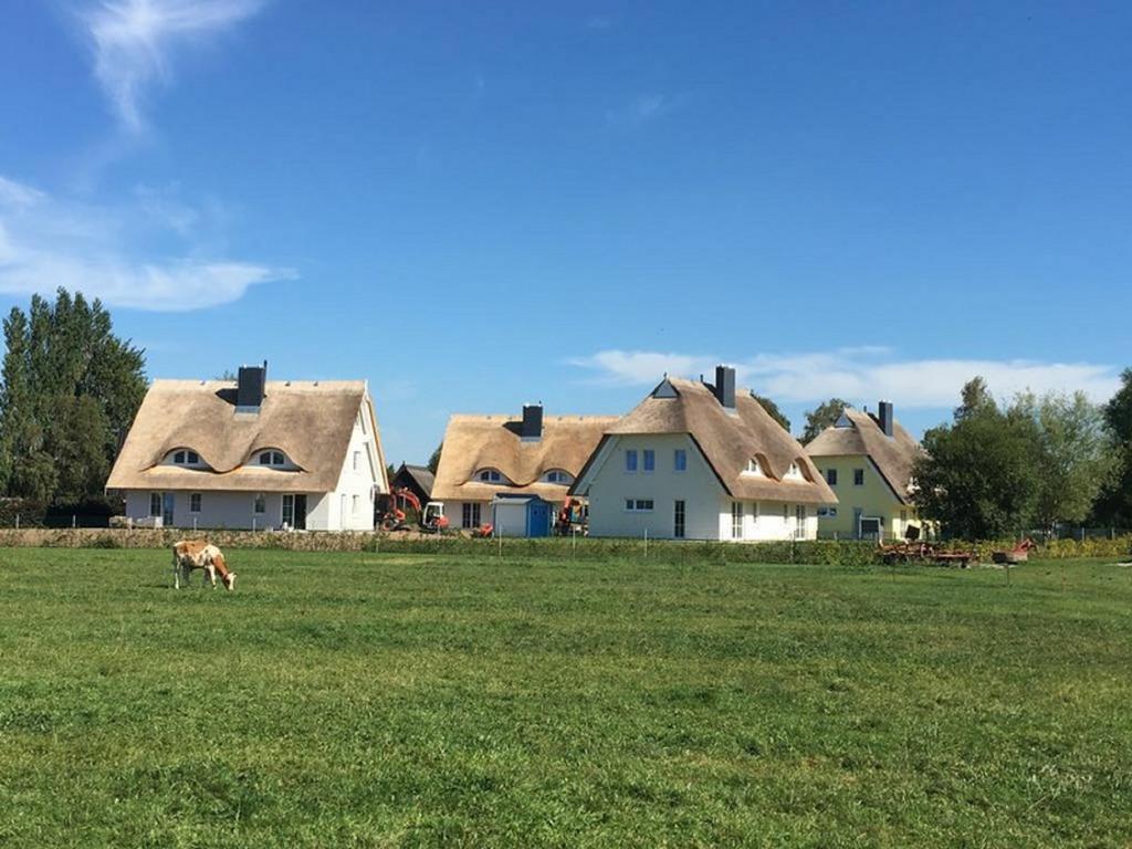 Reetdachhaeuser Boergerende Exterior foto